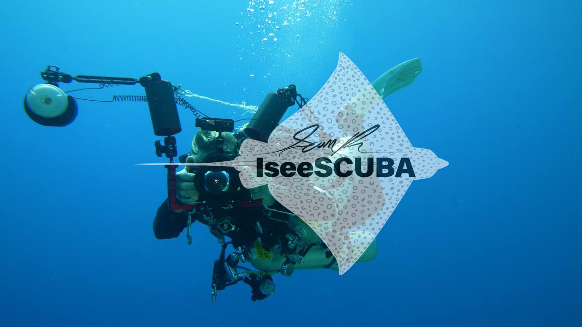 Diver swimming in blue water with a large underwater camera rig.