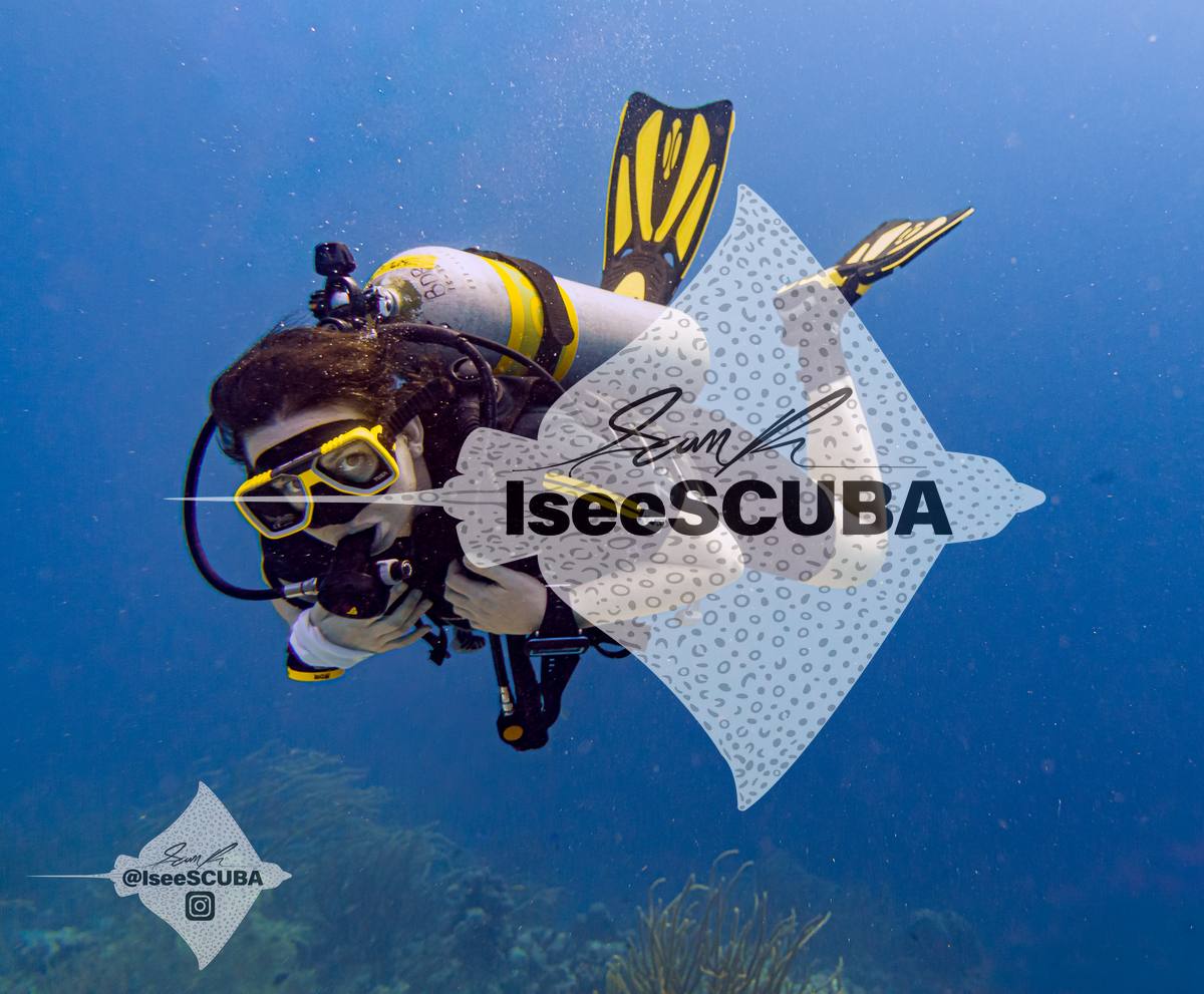 Diver with yellow fins swimming above the reef.