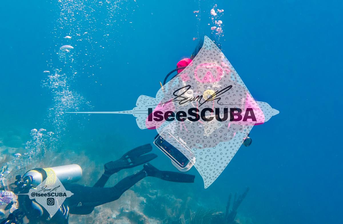 Diver with pink sleeves and mask floating above the reef.