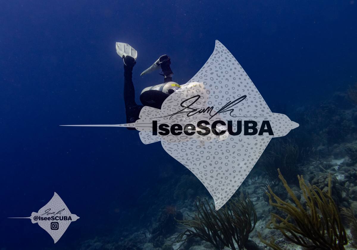 Diver swimming above a reef in deep blue water.
