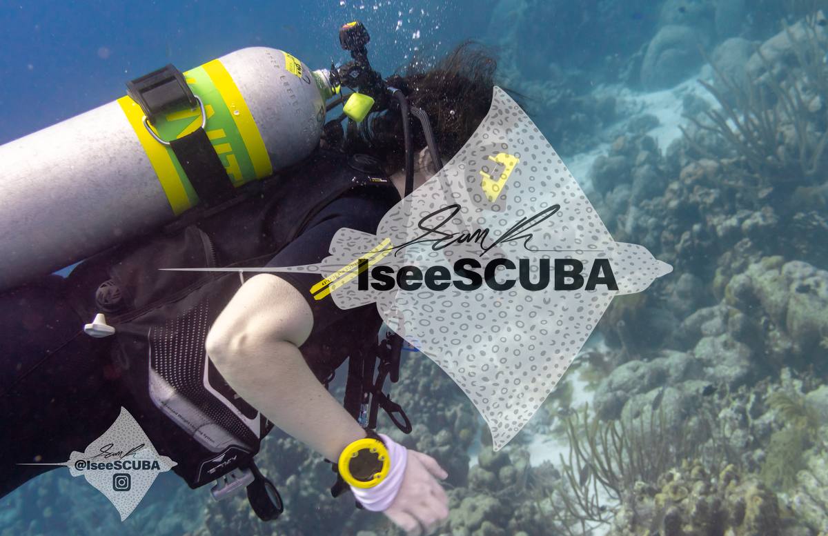 Side view of a diver swimming close to the coral reef.