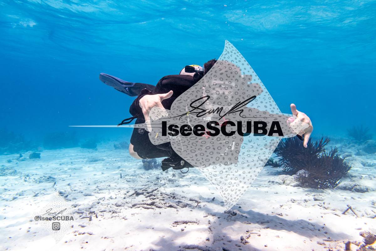 Diver gesturing toward the camera above a sandy seabed.