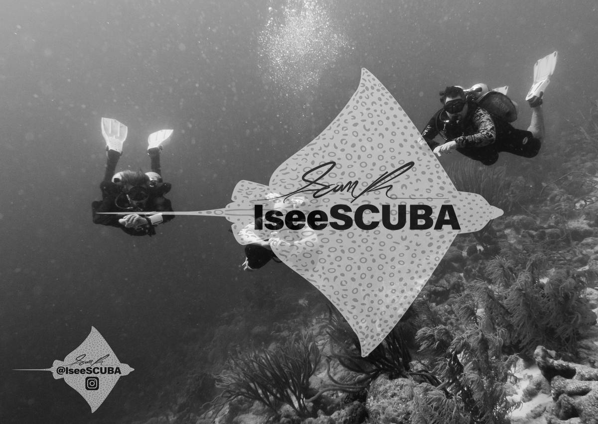 Black-and-white view of three divers swimming above a coral reef.