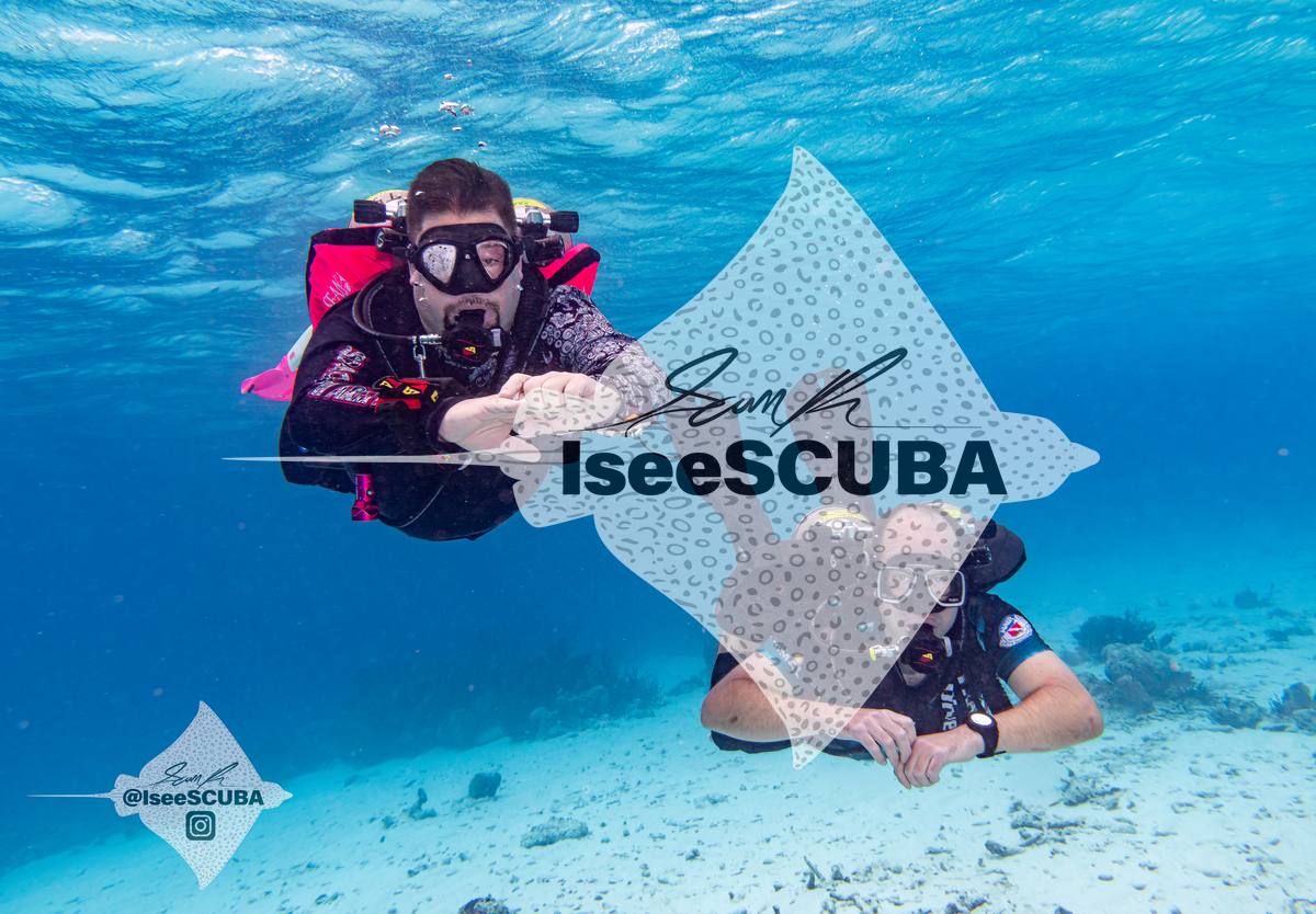 Two divers facing the camera in clear blue water above the sand.