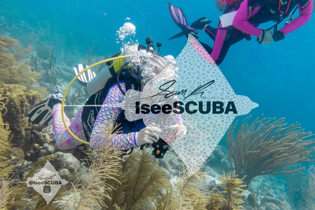 Diver holding camera equipment above sea fans and coral.